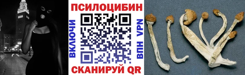 Псилоцибиновые грибы ЛСД  Купить закладки  Волжский 